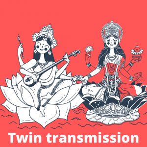 Twin Transmission